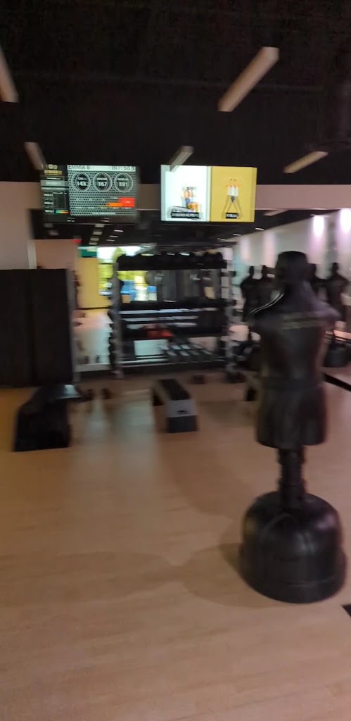  Mayweather Boxing + Fitness