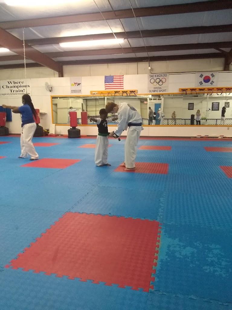  Olympic Style Taekwondo