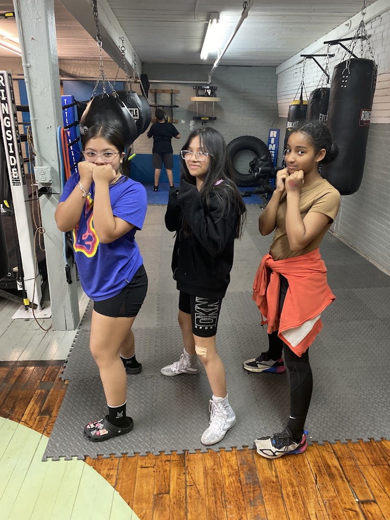  Killer Bee's Boxing & Fight Sports