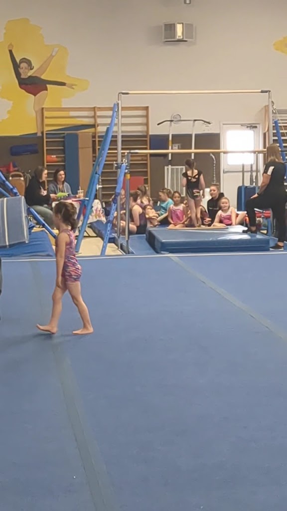  Gonyon's Gymnastics