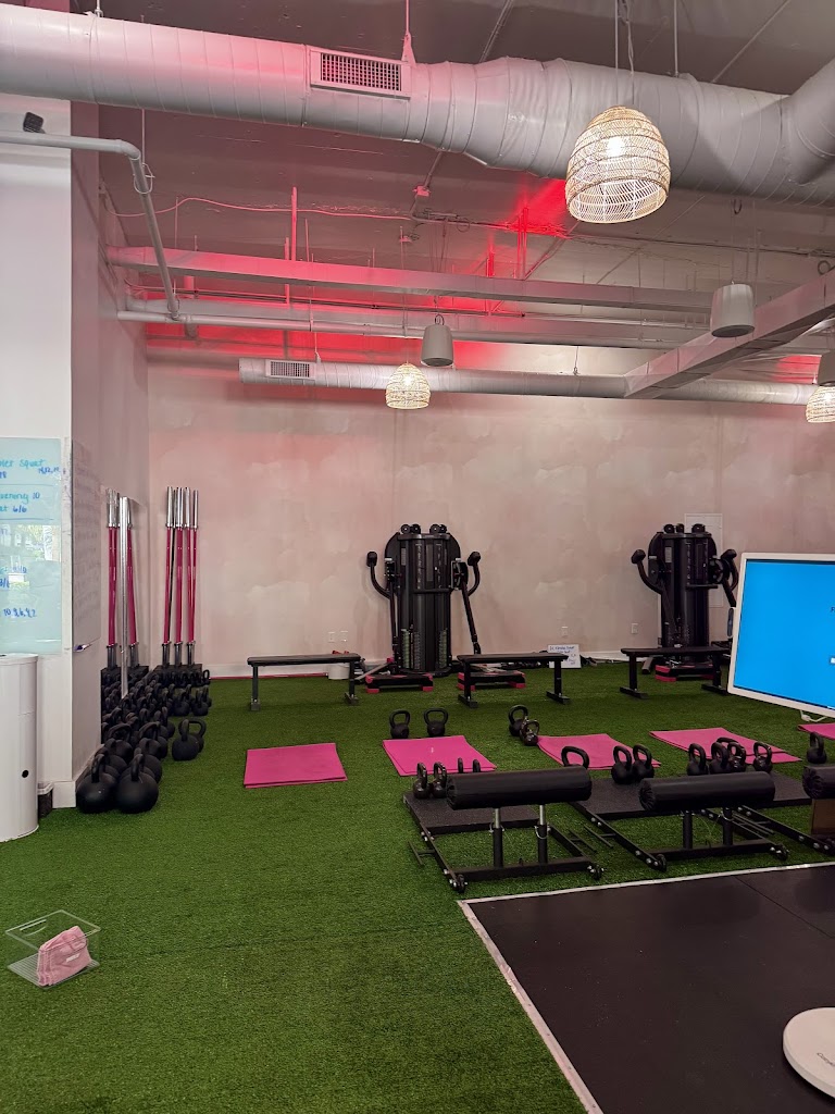  Peach Lab Charleston Downtown