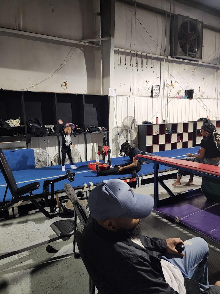  Flip City South Tumblers