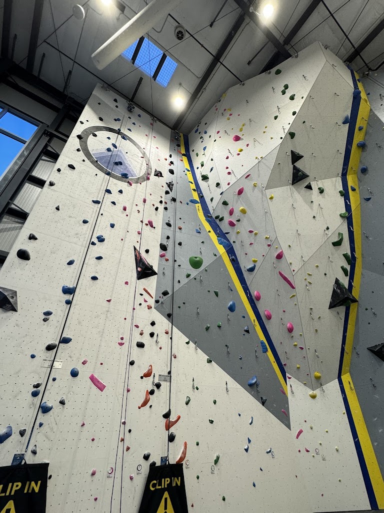  Odyssey Climbing + Fitness
