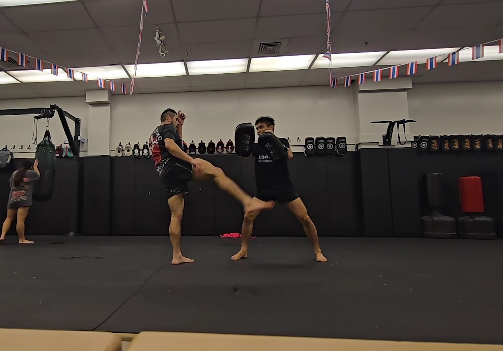  THE LITTLEGIANT MUAY THAI