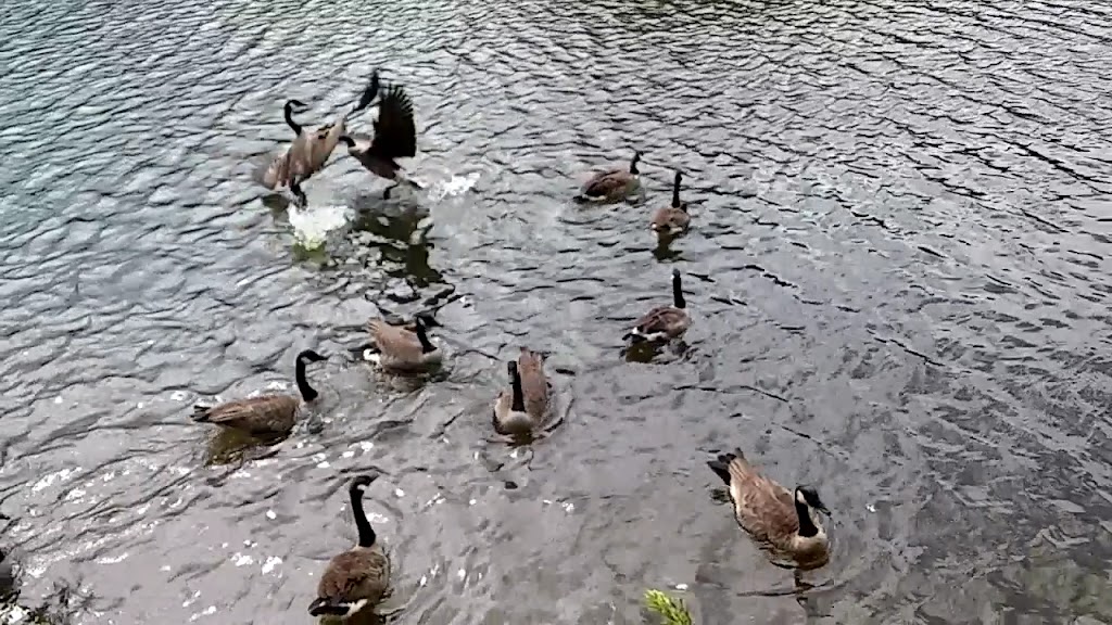  Turner Lake Softball Complex