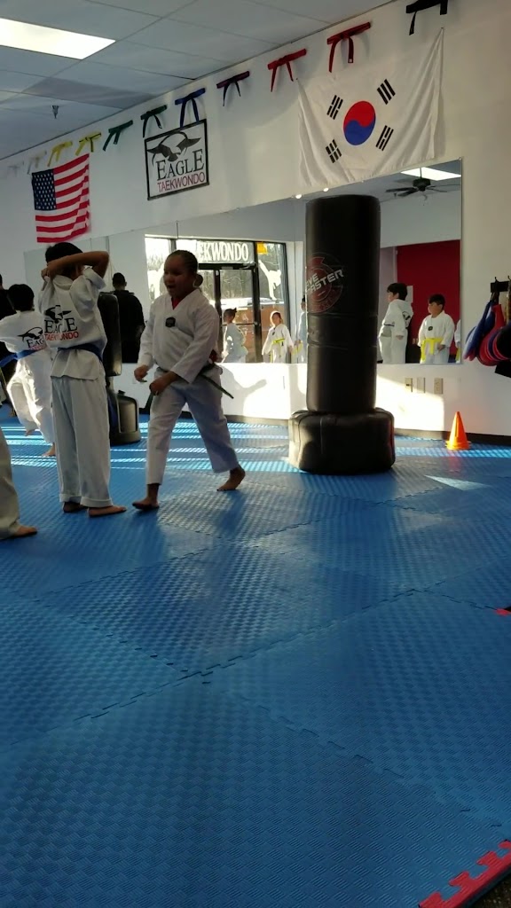  eagle taekwondo takes martial arts training to new heights