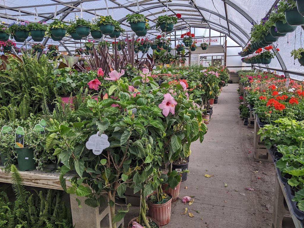  Better Together Campus Gymnasium