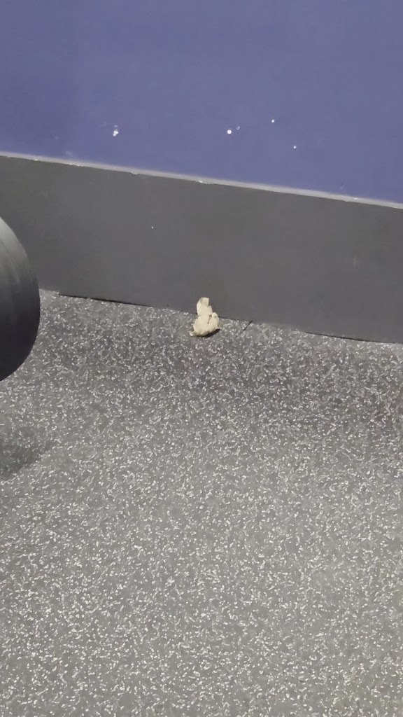  Crunch Fitness - Tinton Falls