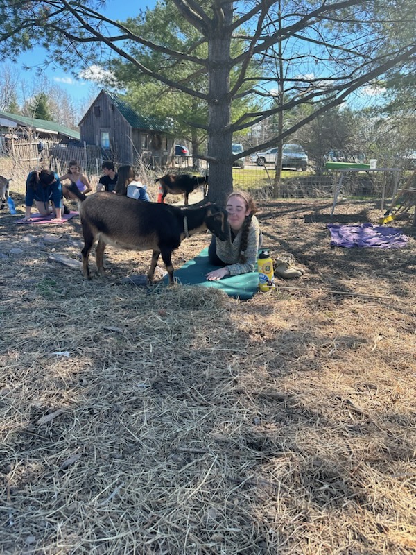  Water and Rock Studio