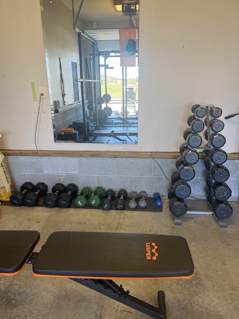  Chelsea Carson Fitness