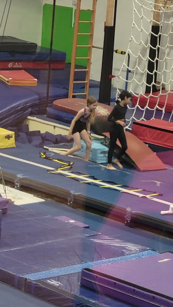  Desert Gymcats Gymnastics