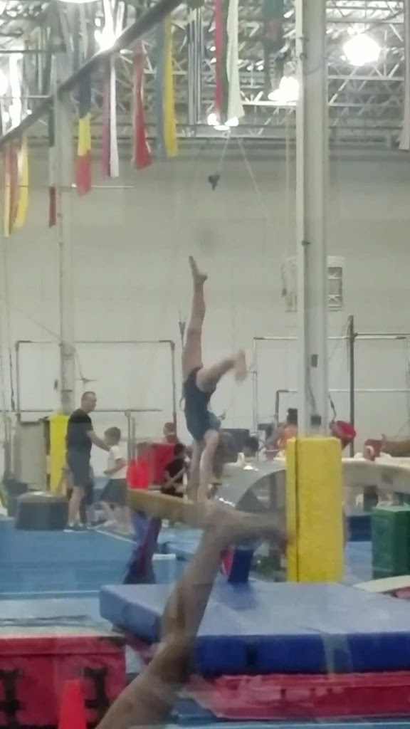  Michigan Academy of Gymnastics