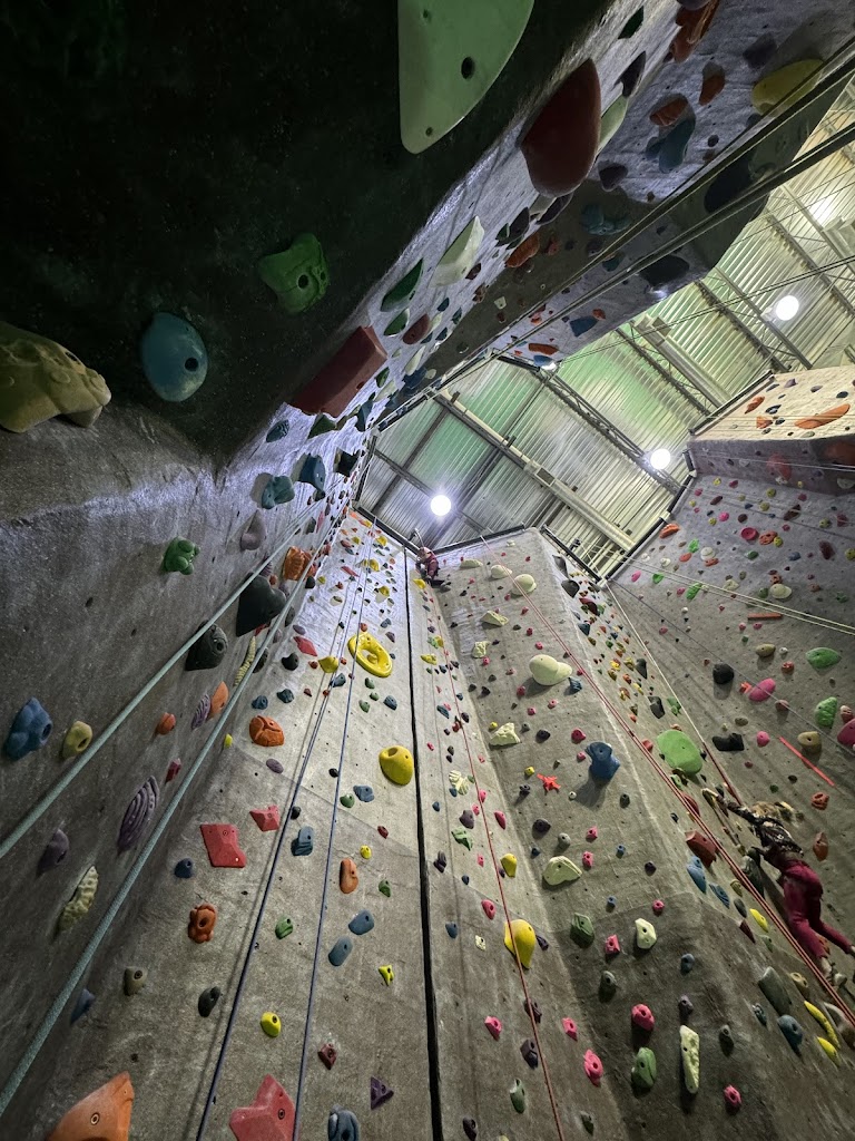  Elevation Rock Gym
