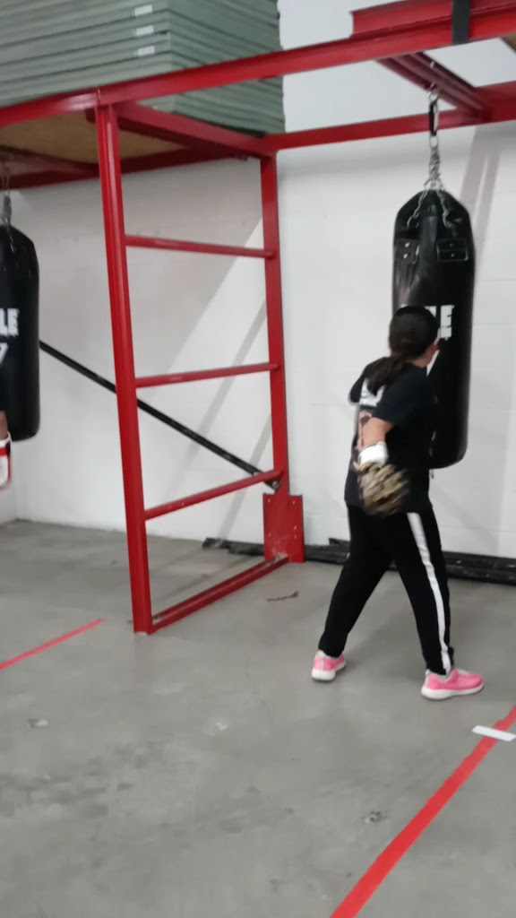  Tazmanian Boxing Club