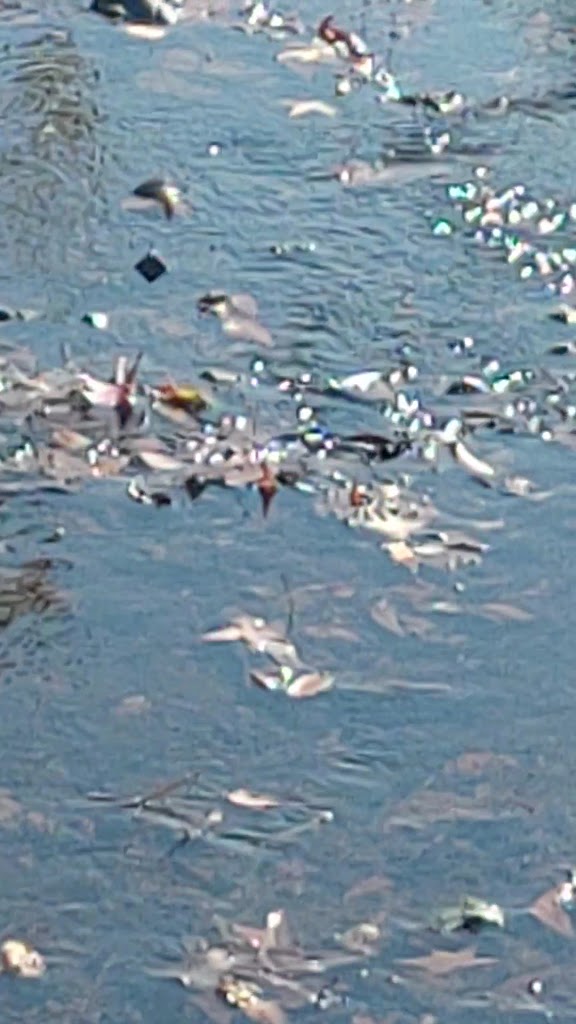  RWJ Rahway Fitness & Wellness Center