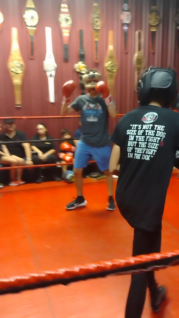  Calexico Bulldog Boxing Academy