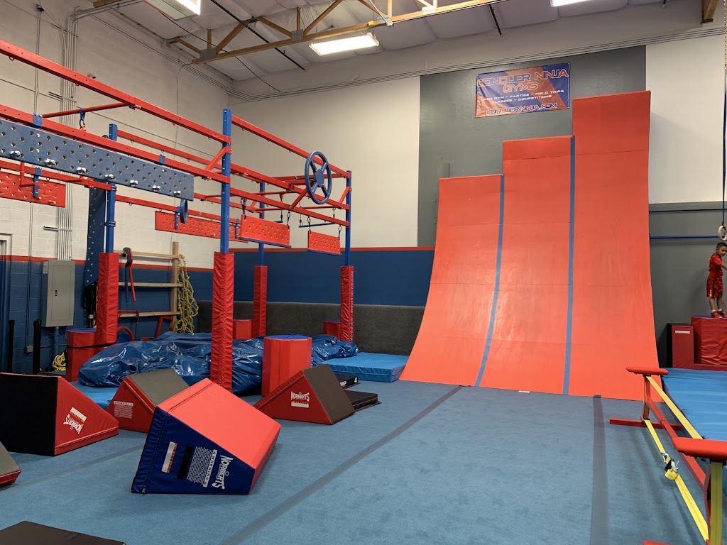  Conquer Ninja Gyms - Gilbert