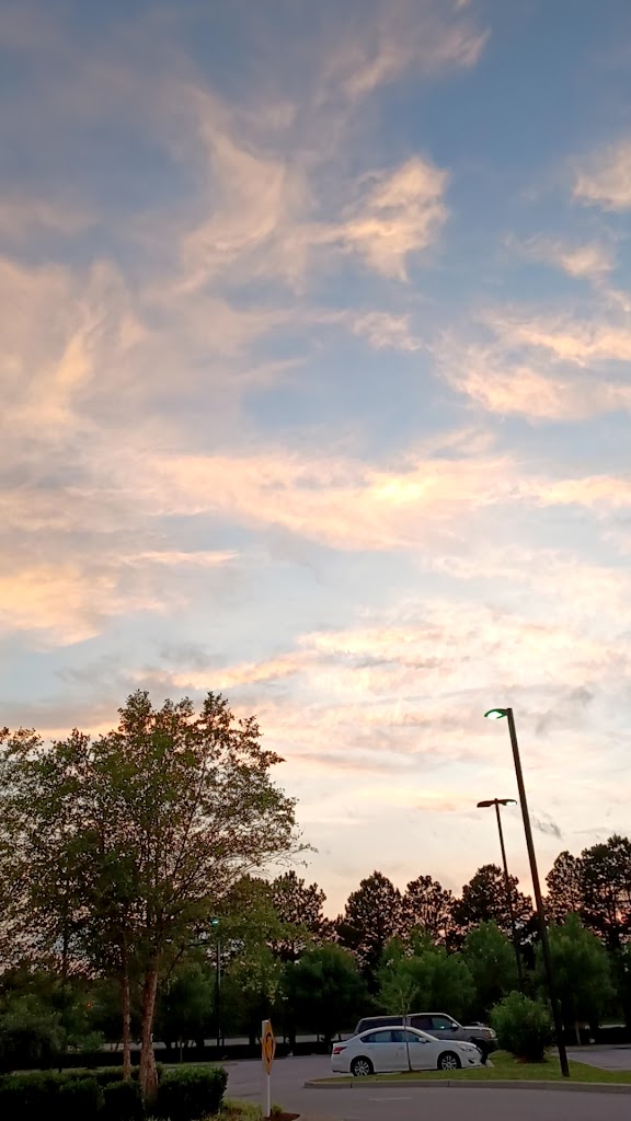  Princess Anne Family YMCA