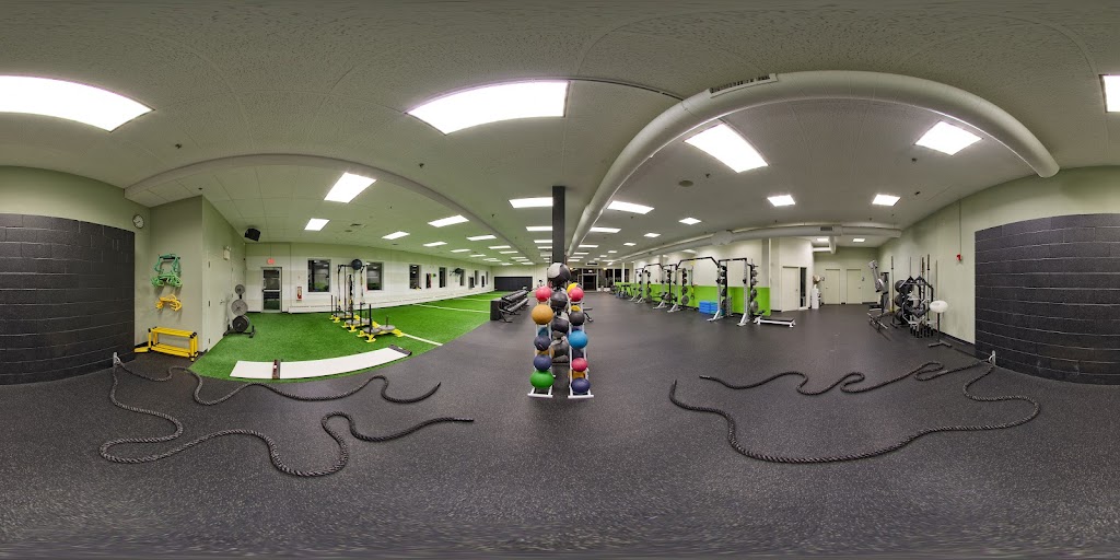  Pure Performance Training