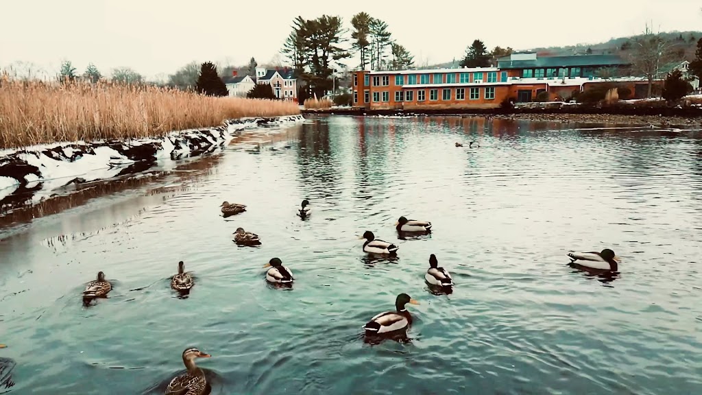  Hot on Bank Mystic (Now Threaded Elements Yoga)