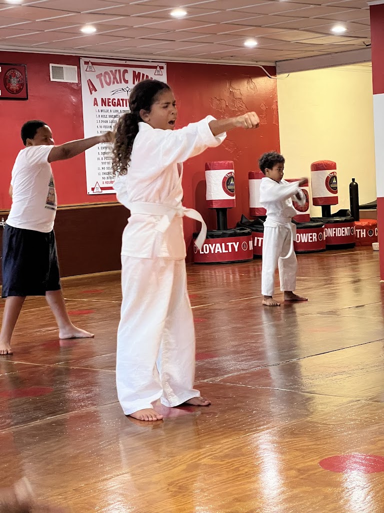 Mt. Everest Karate Studio - The Dojo