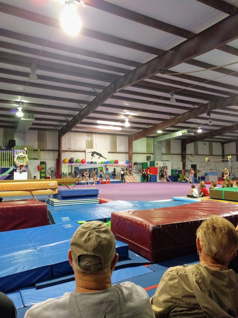  Electric City Gymnastics