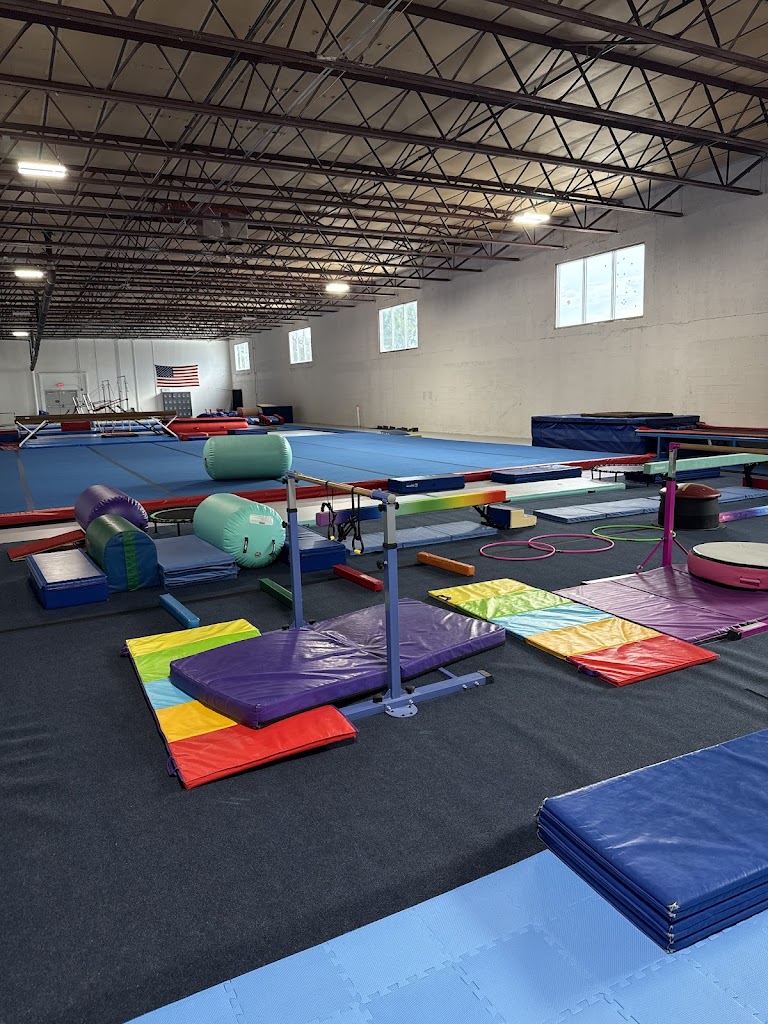  World Class Gymnastics