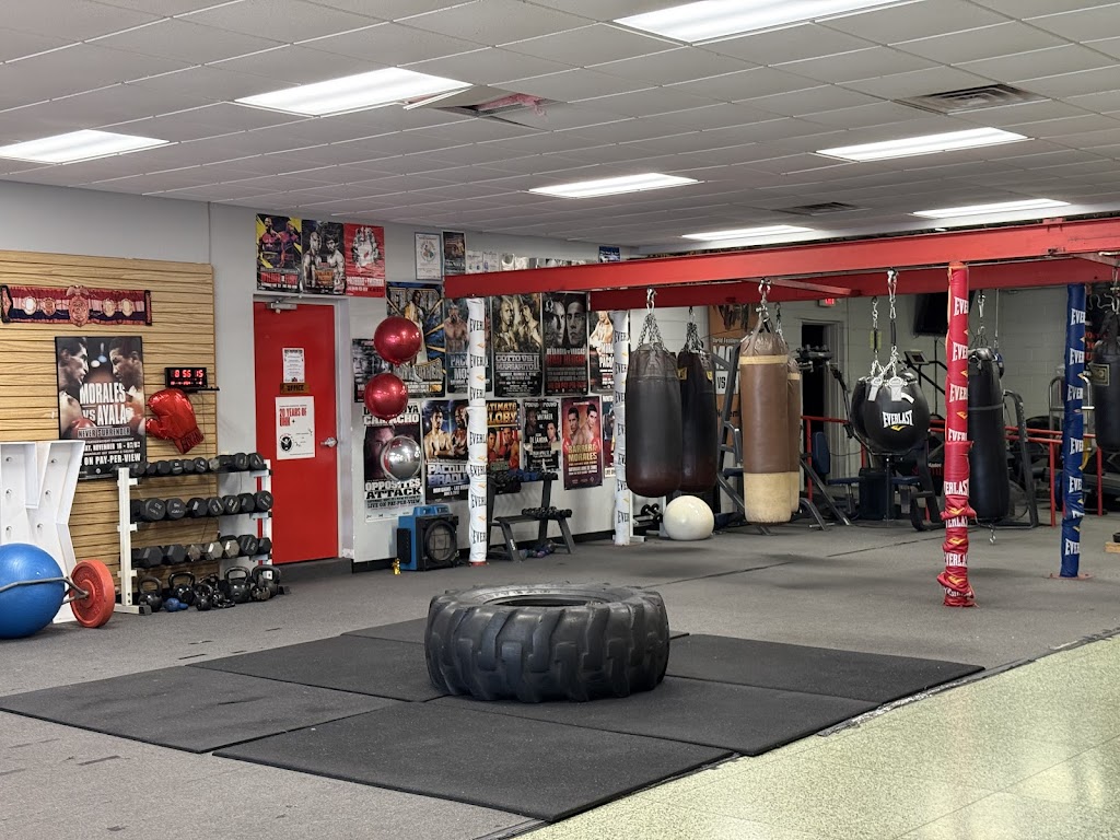  Paulie Ayala's University Of Hard Knocks