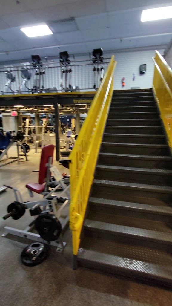  Synergy Fitness Clubs