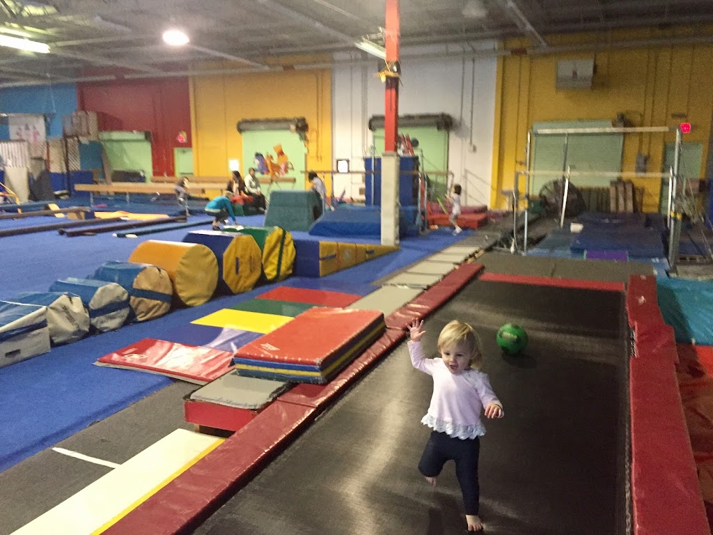  Amerisport Gymnastics