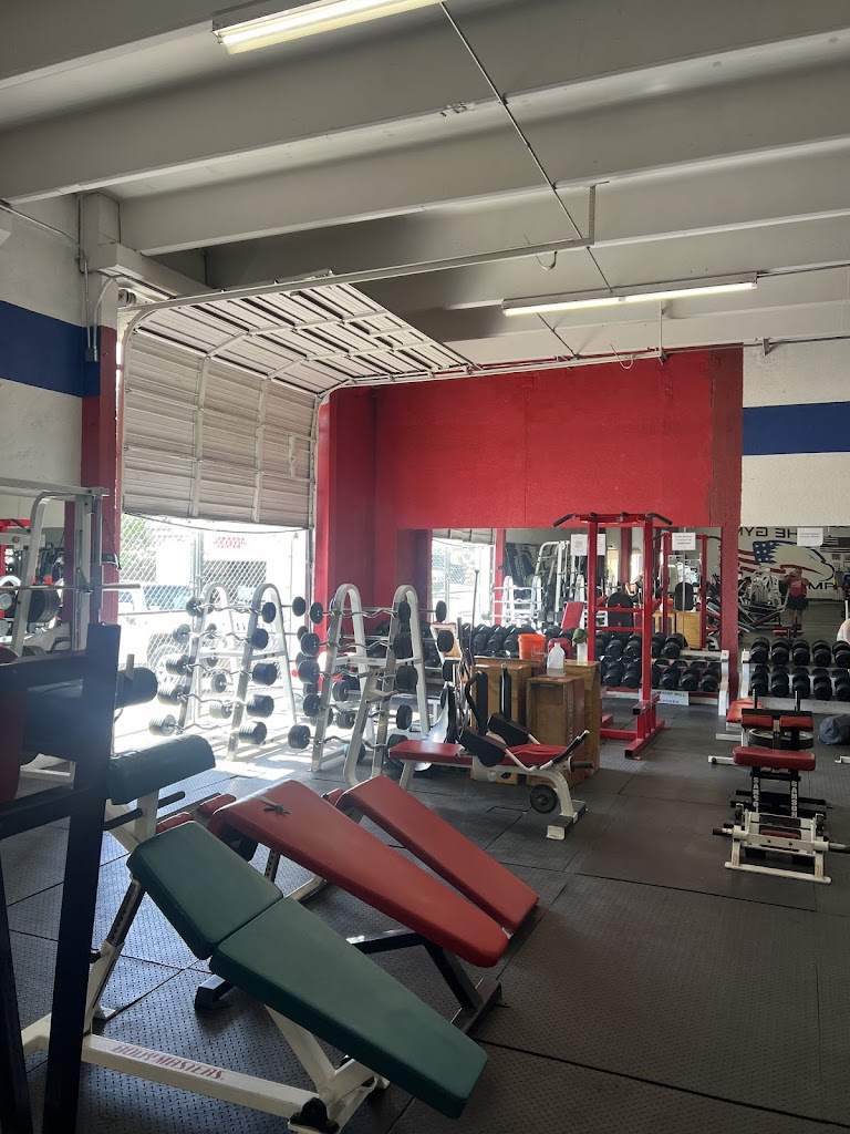 The Gym