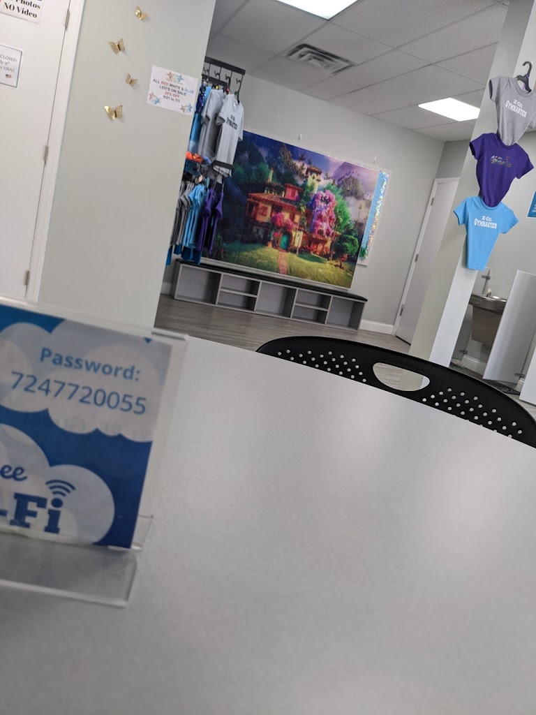  X-Cel Gymnastics North