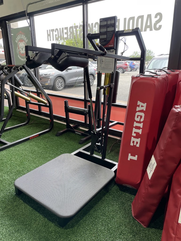  Saddleback Strength and Conditioning