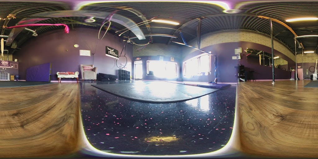  Aerial Dragonfly Movement Studio