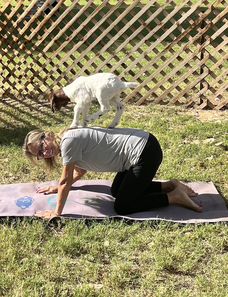  Baby Goat Yoga @ Mesquite Meadows