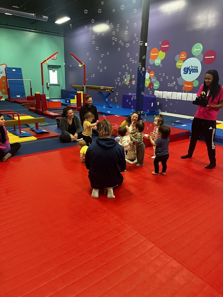  The Little Gym of Cedar Park