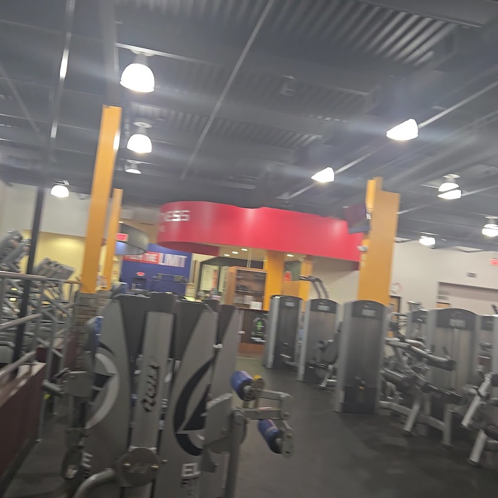  Elite Fitness Club