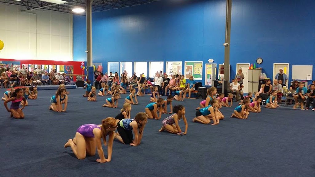  Flip n Twist Gymnastics Cincinnati