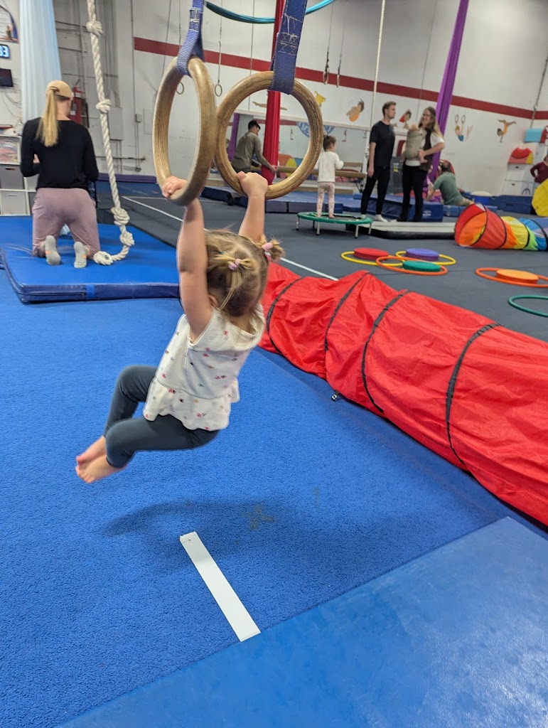  Miyagi Gymnastics Academy