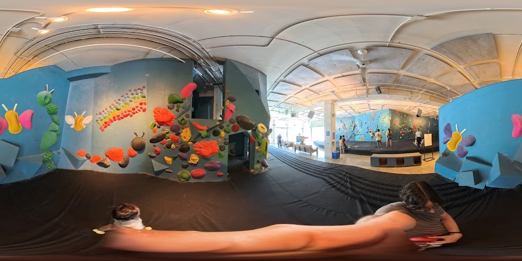  Bouldering Project - Poplar