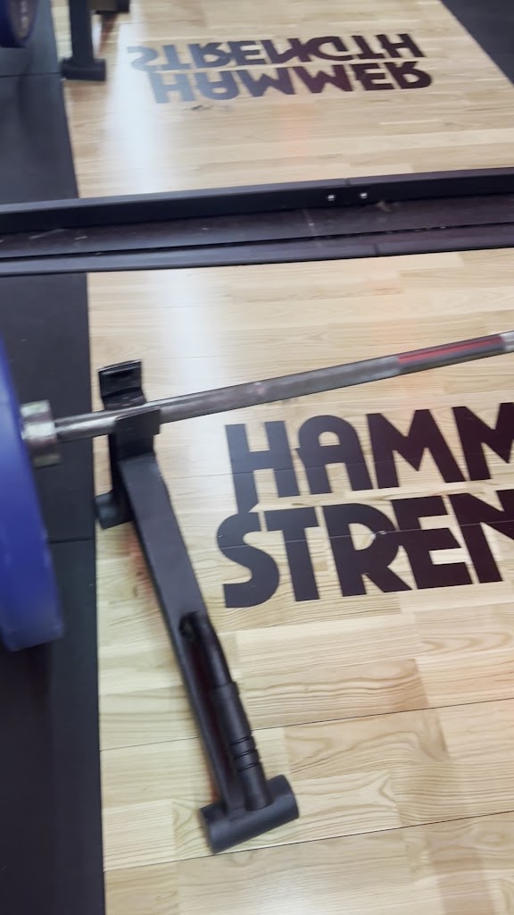  Iron Pump Gym (Bayside)