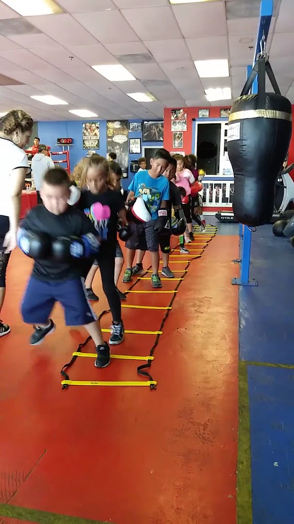  Los Gallos Boxing Academy