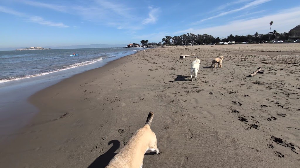  Presidio Community YMCA