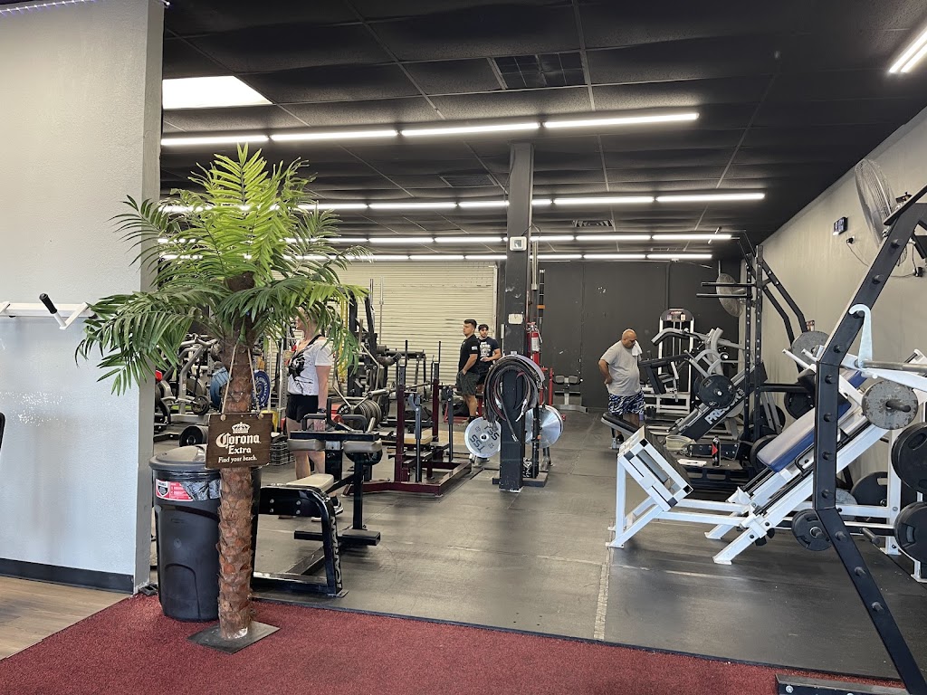  The Gym SA Near Me (formerly Powerdise City Gym)