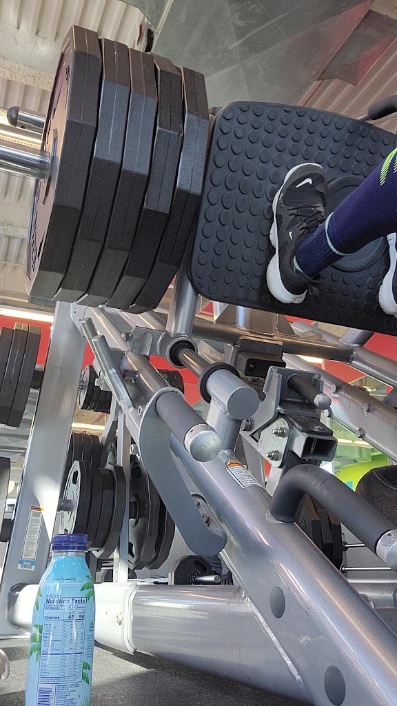  Blink Fitness (PureGym)