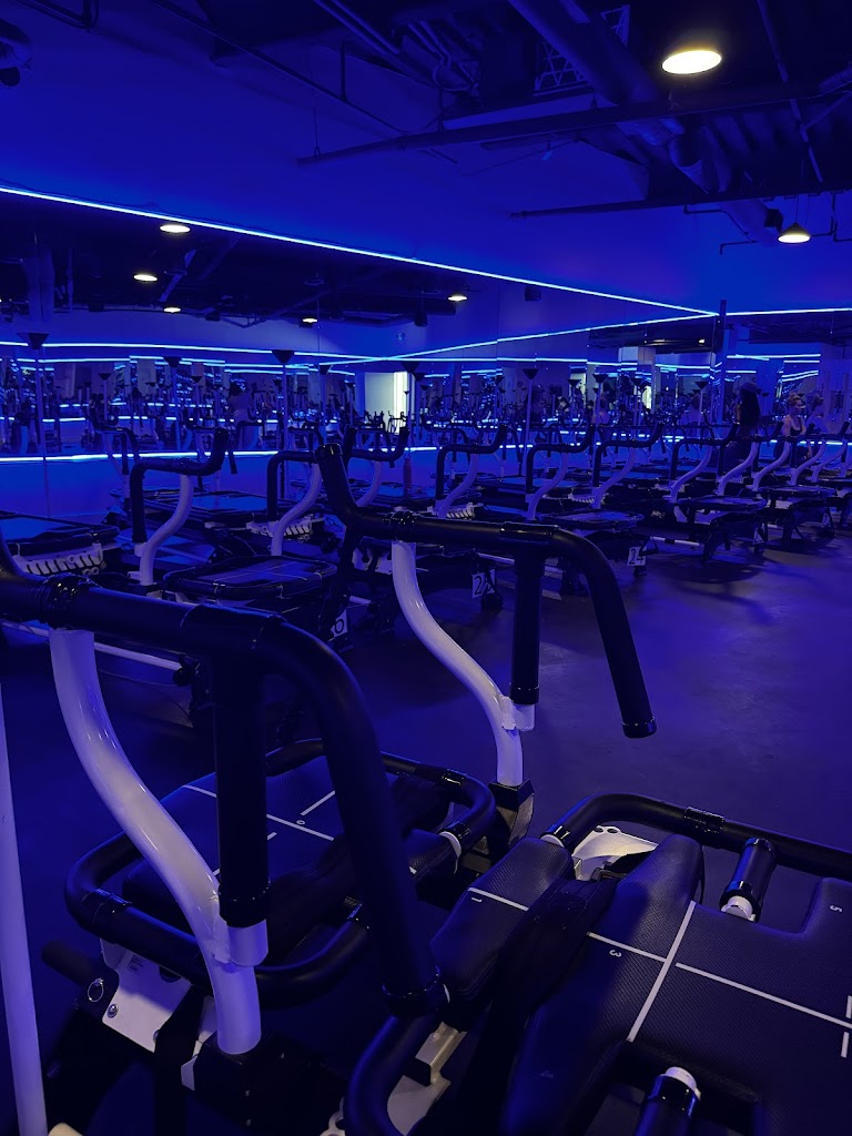  The Megaformer Studio