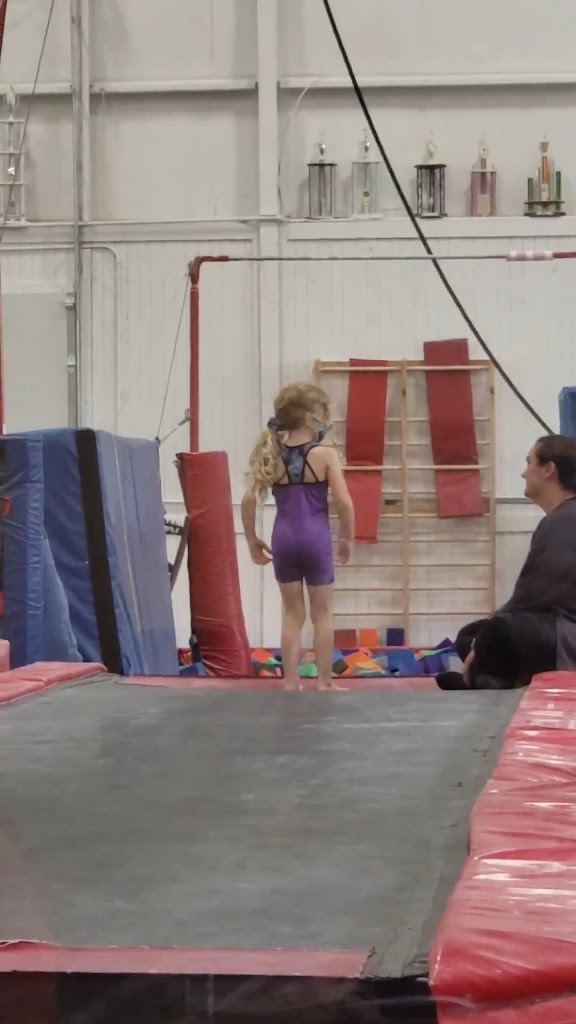  Amplitude Gymnastics Academy