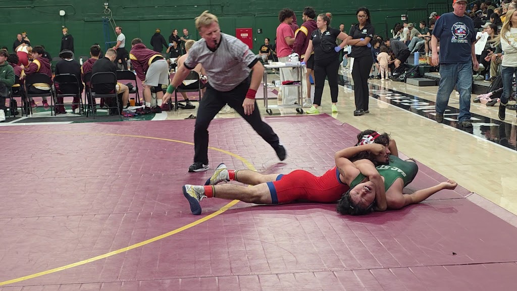  The Nest | Colberg Court