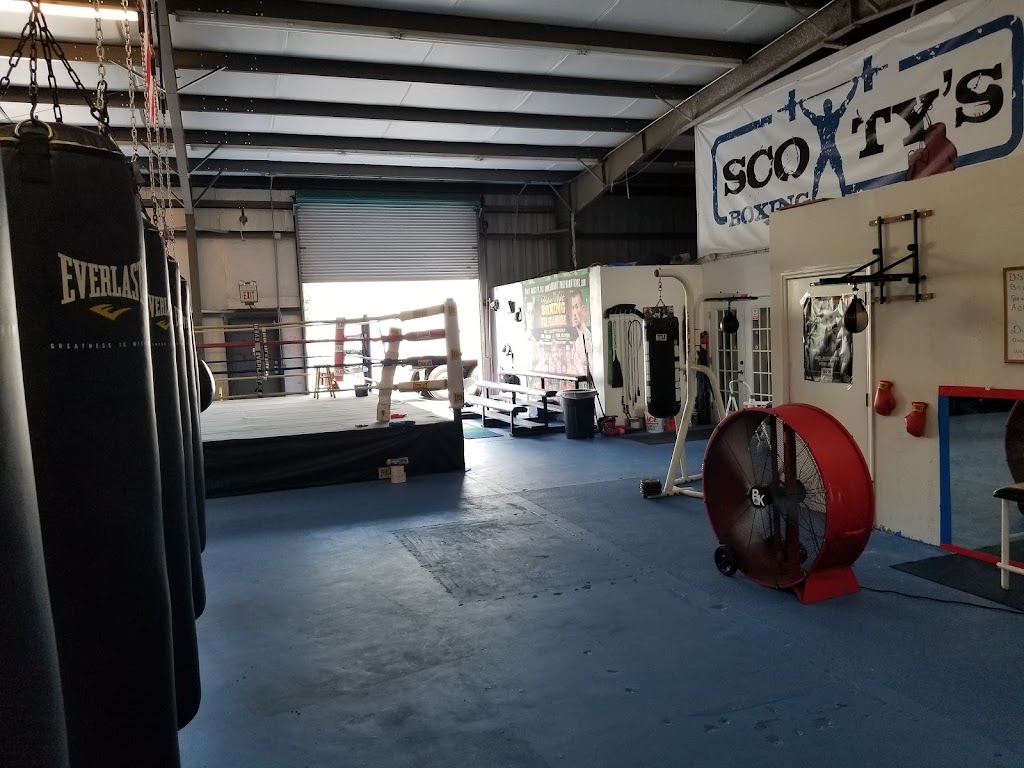  12 rounds Boxing GYM