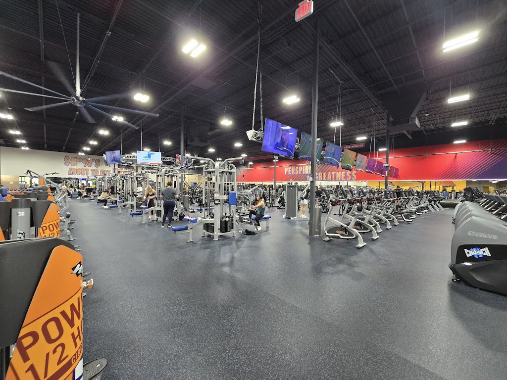  Crunch Fitness - Wesley Chapel